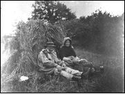 Harvest workers
