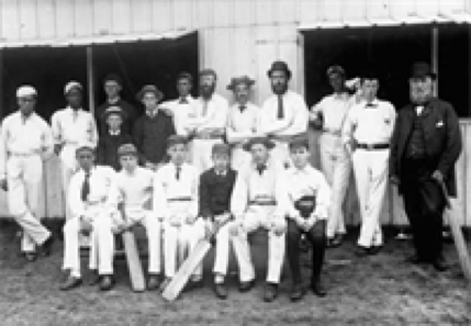 Cricket team